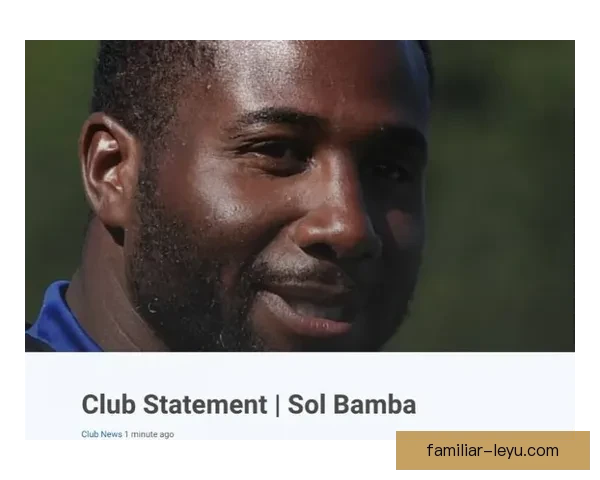 卡迪夫城俱乐部赛季重建进展与转会动态全景观察及球队未来战略布局解析