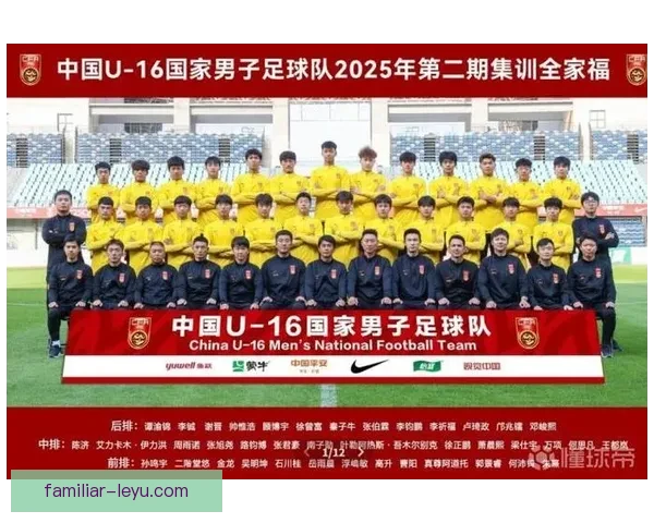 国家队逆转夺冠创历史球迷彻夜狂欢决赛上演惊天翻盘瞬间点燃全城