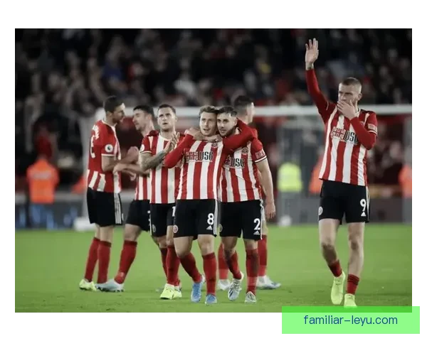 斯旺西足球俱乐部发展历程与未来潜力全面解析 斯旺西足球俱乐部发展历程与未来潜力全面解析