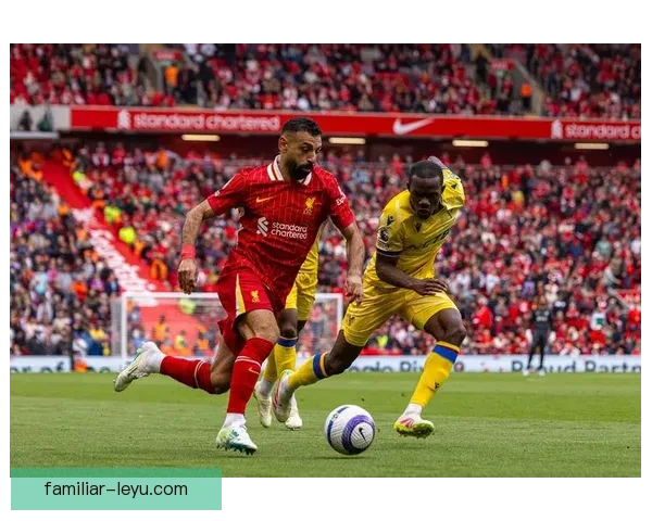 水晶宫俱乐部的崛起与挑战：从英超保级队到欧洲竞争者的转型之路