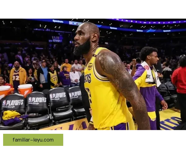 湖人詹姆斯关键表现助力球队逆转取胜引关注