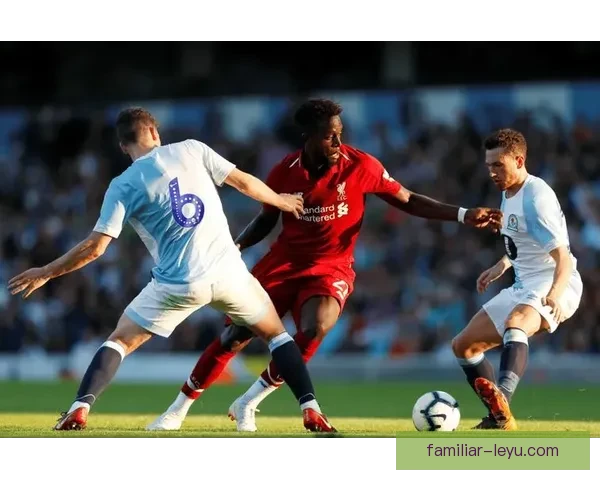 米德尔斯堡足球俱乐部历史荣誉与未来发展全面解析